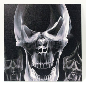 Infused KYDEX® Sheet - Smoke Skull